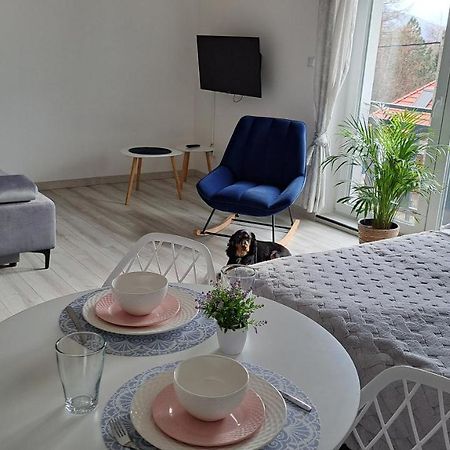 Apartamenty Bujaki Ustroń Exterior foto