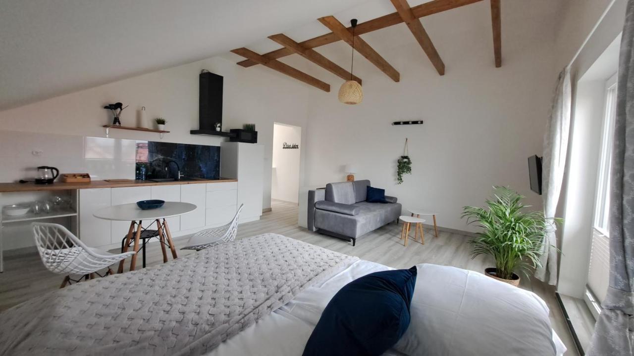 Apartamenty Bujaki Ustroń Exterior foto